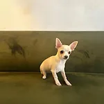 Bookinn Vilnius' Old Town