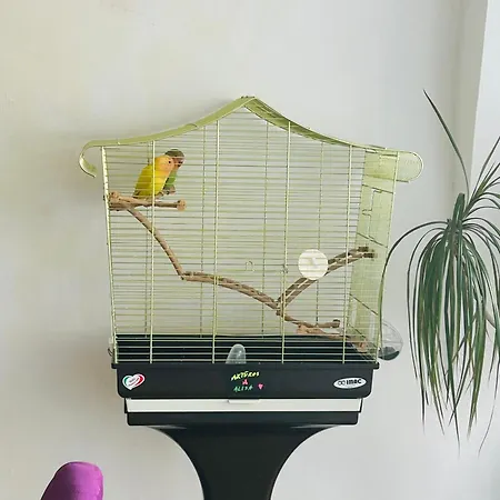 Bookinn Vilnius' Old Town Вильнюс